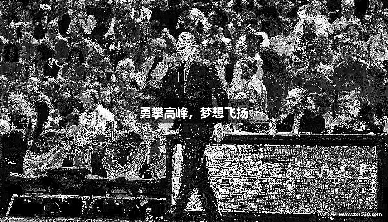 勇攀高峰，梦想飞扬